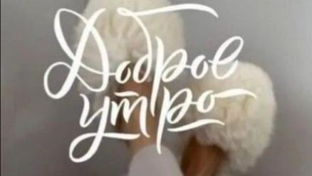 Доброе утро - Пусть день будет добрым