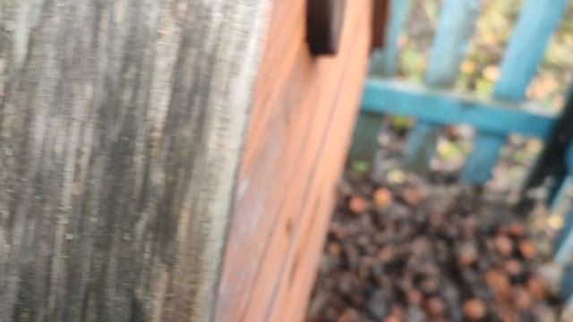 Дневник. 19.11.2025. Просто набираю воду из колодца