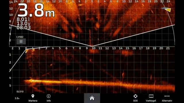 Перспектива+форвард