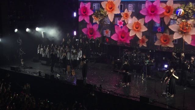 Анонс специального репортажа.