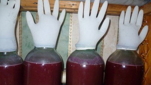 ▶️Винный гриб Часть 1🔥