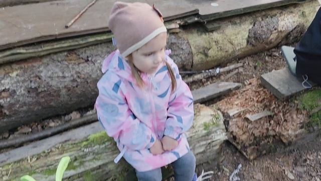 Поход с дочкой в лес на Клязьму