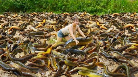 Поймала много вьюнов в грязи на высохшем поле. Отправляюсь на сельский рынок, чтобы продать.