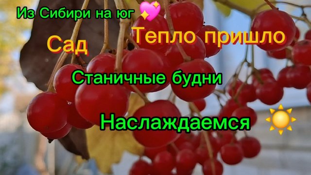 19-11-2025 Переезд из Сибири на юг 💖/Наслаждаемся южной жизнью ☀️/Щи/Сад/Фасад/Курочки/Цветы/