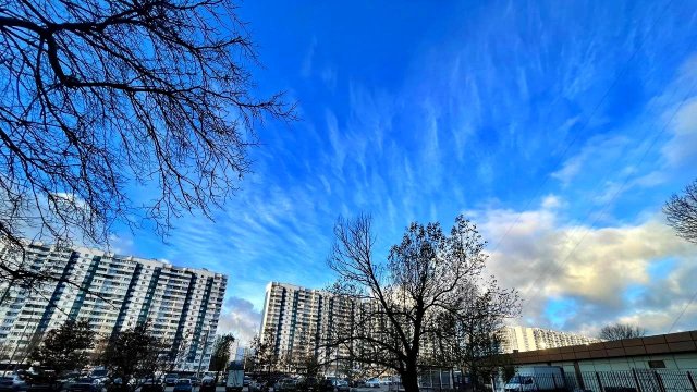 УТРЕННЕЕ МОСКОВСКОЕ НЕБО ИЗ АВТОБУСА