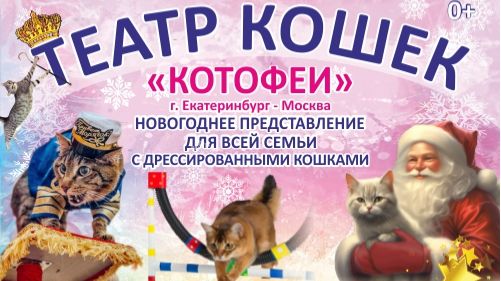 Анонс представления Театра кошек "Котофеи" (04.01.2026)