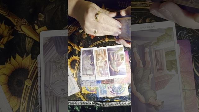 20-30 ноября весы