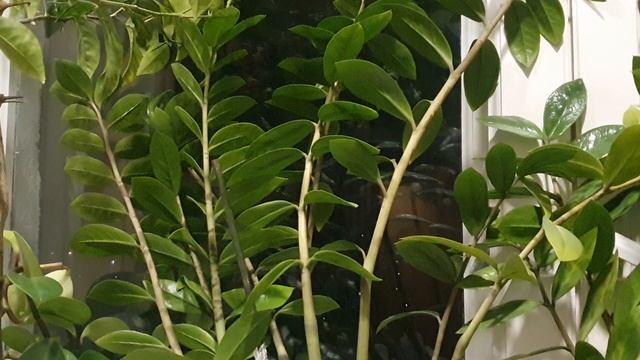 Безбожна Суть Небытия...