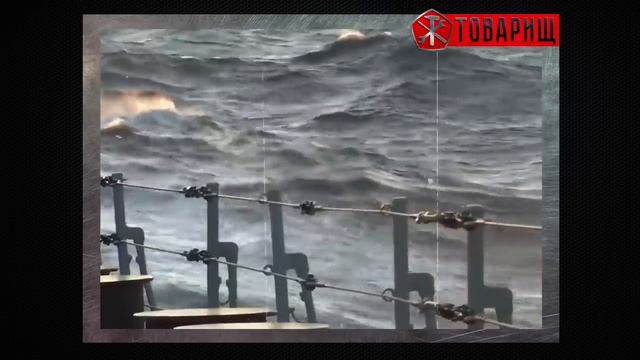 НАЙДЕН схрон БАНДЕРОВЦЕВ созданный в 1960 году. НАШЛИ 292.000 ЯЩИКОВ...