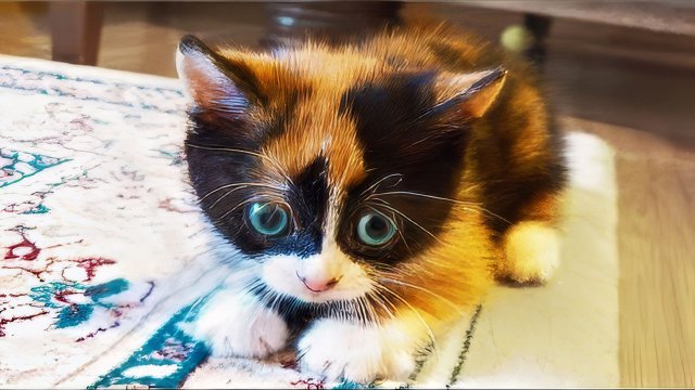 КУКИ В ДЕТСТВЕ! )