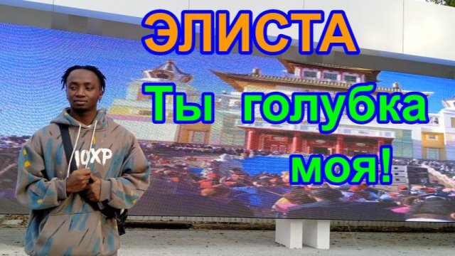 Элиста.  Ты голубка моя!  2025 год