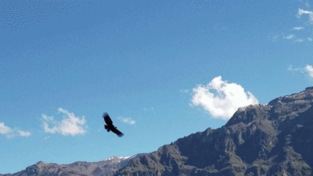 Горы в сердце