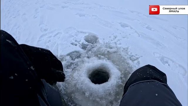 Рыбалка на жерлицы Окунь на балансир  Щука брала редко, но метко.