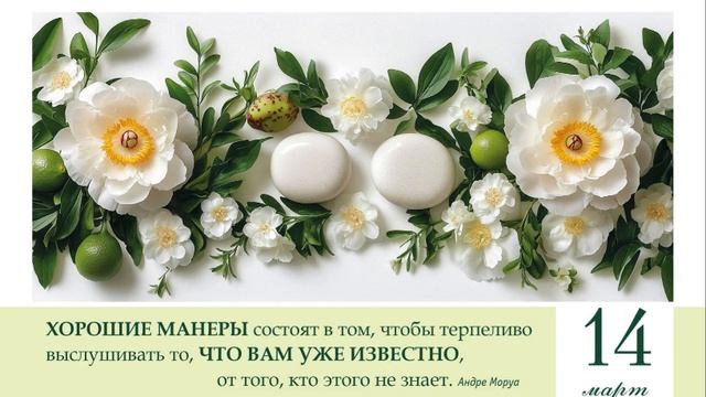 Вежливость — Не Роскошь, а Средство Выживания