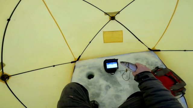 Рыбалка для души. Клёвая рыбалка.