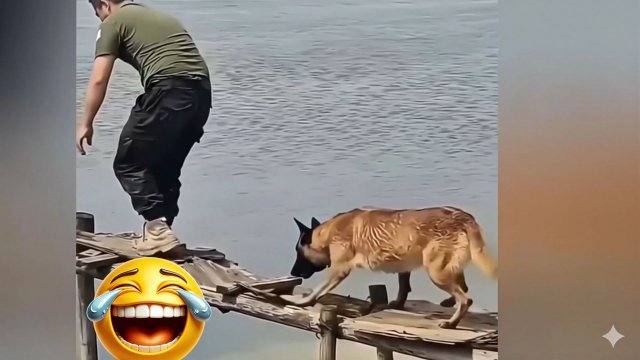 Самые смешные ржачные видео №1