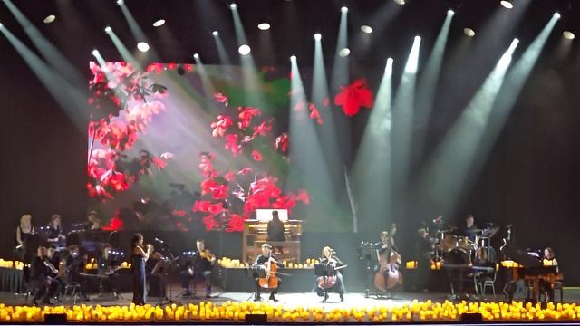 Рамин Джавади - Игра престолов|Imperial Orchestra|КЗ Москва|Остров мечты|15.11.25