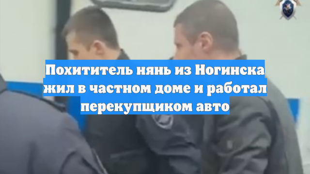 Похититель нянь из Ногинска жил в частном доме и работал перекупщиком авто