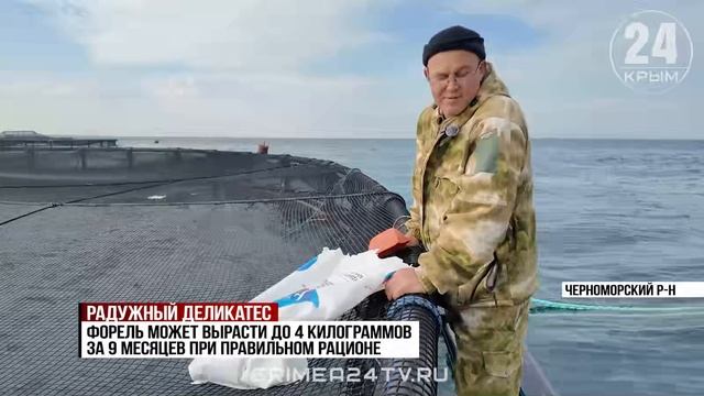 Больше 600 тонн форели вырастили предприятия Крыма в этом году