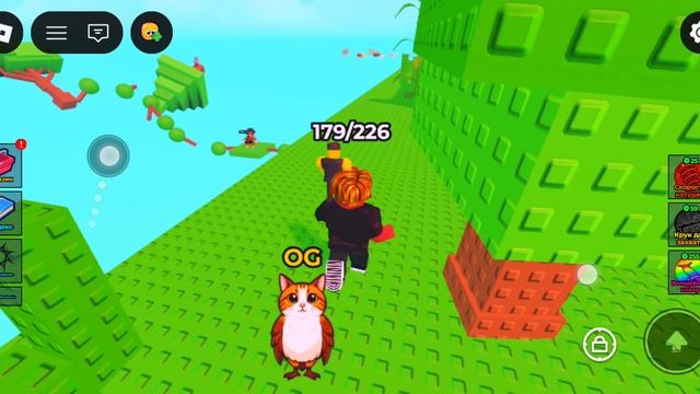 Гайд где найти брейнротов в Find the brainrot