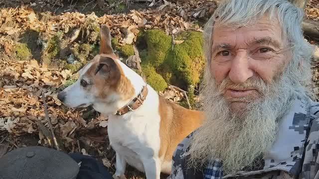 Моло романтичная перезагрузка в урочище.