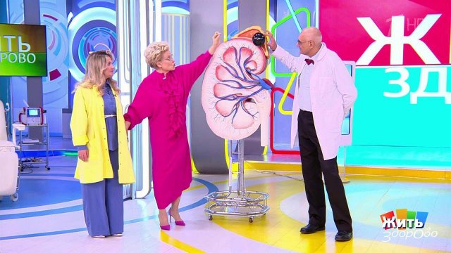 Давление плюс потливость: тревожный сигнал. Жить здорово! Фрагмент выпуска от 20.11.2025