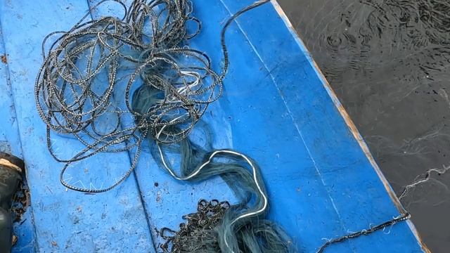 Поздний октябрь. #3