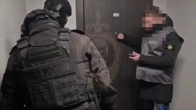 Порно с детьми 1–2 лет снимали в Питере — сообщили в МВД