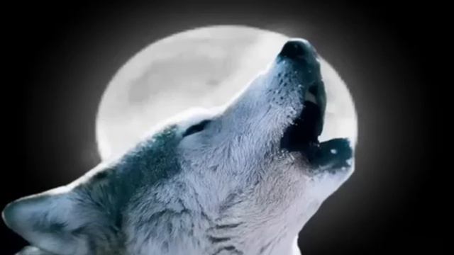 Garik Garik Не получится пройти мимо Бога