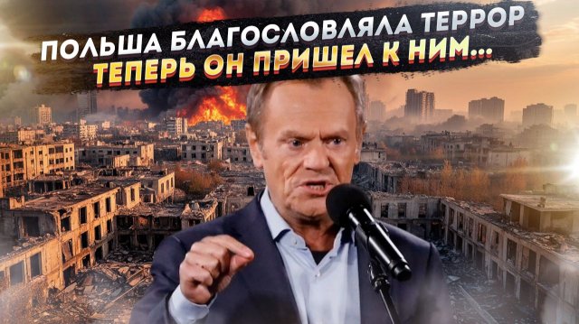 Раскрыт план Варшавы: Зачем Польша втягивает НАТО в войну с Россией