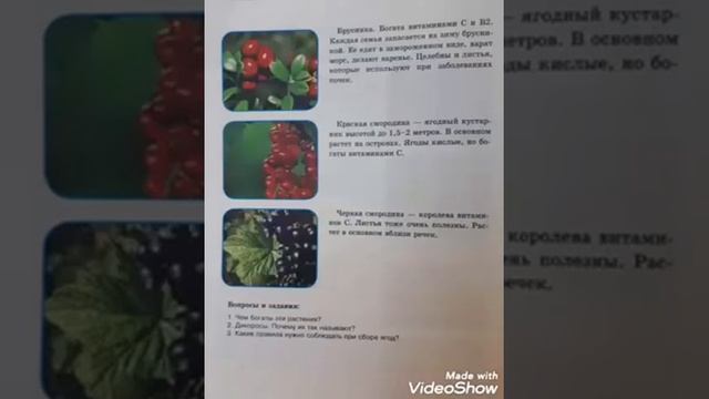 "Эҥсиэли - здесь Родины моей начало"