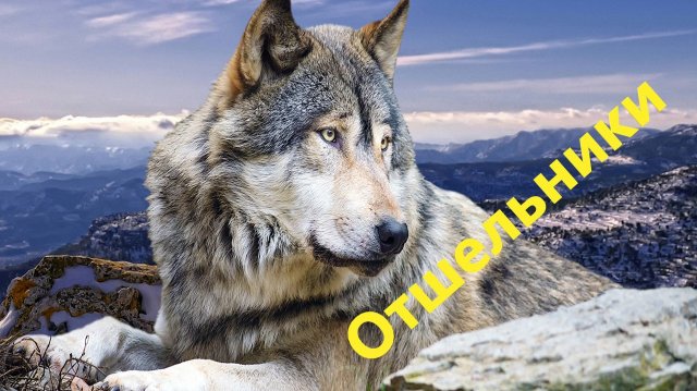 Отшельники