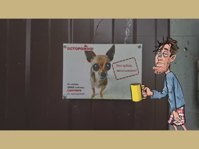Про злую собаку и другие смешные истории
