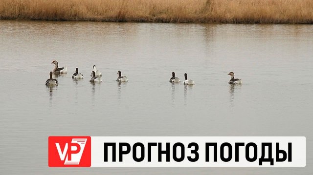 ВОЛГОГРАДЦЕВ ОЖИДАЕТ ТЕПЛАЯ ПОГОДА В КОНЦЕ НОЯБРЯ