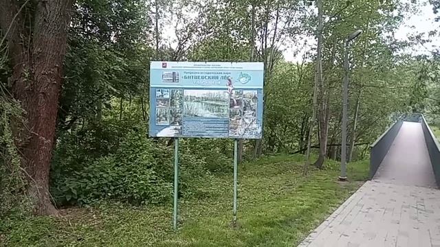 Битцевский лес/Лето/Парк/Июнь 2023 год