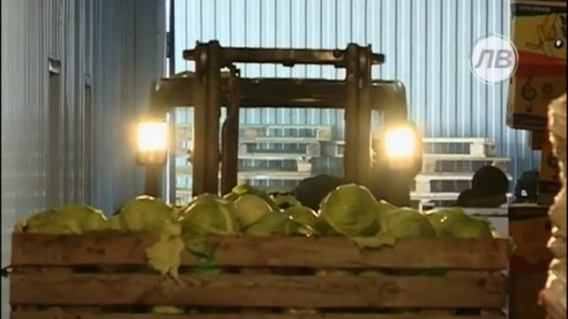 СОЦ -ЭКОНОМ РАЗВИТИЕ Усманского района