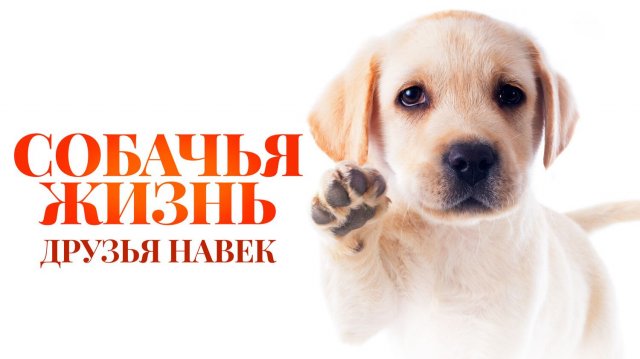 Собачья жизнь: Друзья навек