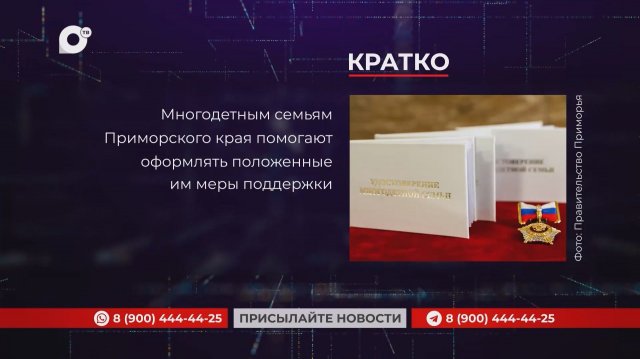 Кратко / 20.11.25