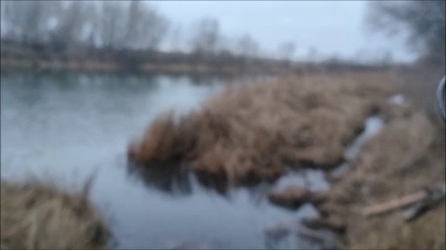 Рыбалка , мормышинг,искусственный мотыль, шлюз Водохранилища, мкр.Шилово, город Воронеж, 20.11.2025
