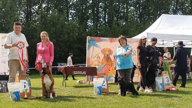 26.07.2025,СПб. Клуб "Аскона" (РКФ, РФЛС). Выставка собак CAC 2 группы FCI