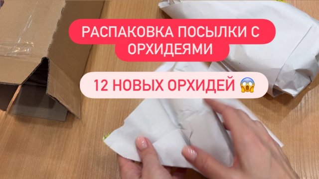 🟡12 НОВЫХ ОРХИДЕЙ В НОЯБРЕ Распаковка посылки Обзор #обзорорхидей #распаковкаорхидей #купилаорхидеи