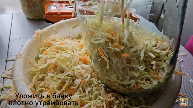 Домашняя квашеная капуста