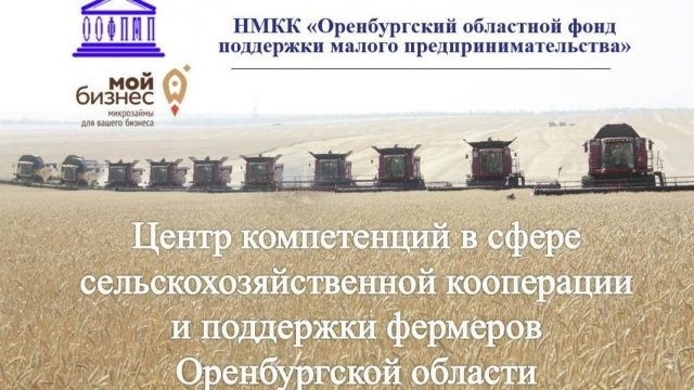 Организация сельского хозяйства в условиях Оренбургской области с применением гос. поддержки