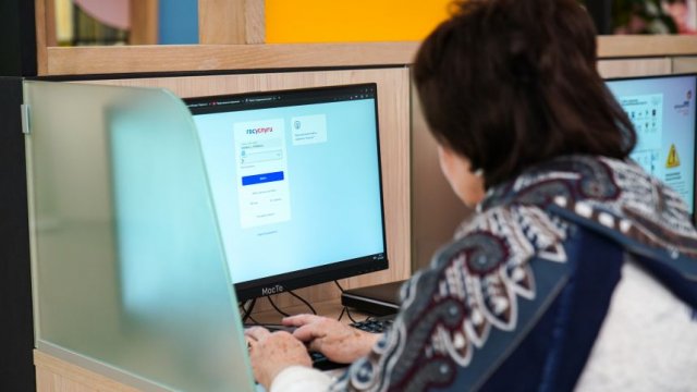 Доверяем самое дорогое: в Госдуме предложили проверять нянь через «Госуслуги»