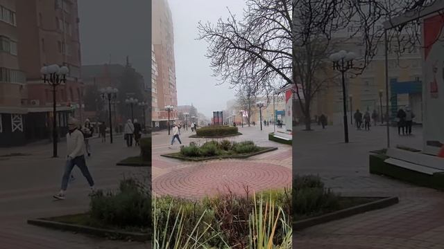 Осенний Белгород 21.11.25.