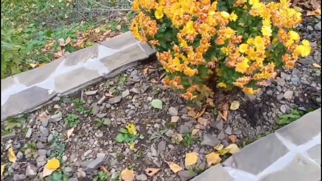 Осень в Долине Нарзанов🍁