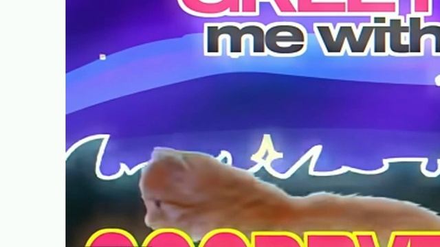 БЕЛАЯ НОЧЬ И СТРЕЙ \ меме\( мой персонаж и моя ос)