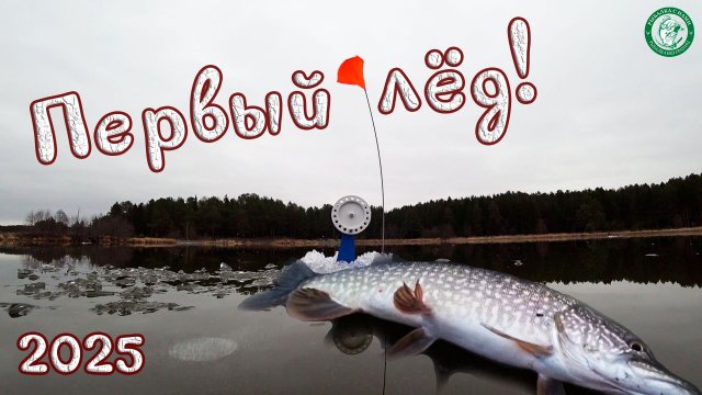 ПЕРВЫЙ ЛЁД 2025! ЩУКА НА ЖЕРЛИЦЫ, РЕАКЦИЯ ЩУКИ НА ЖИВЦА, ПОДВОДНЫЕ СЪЁМКИ, РЫБАЛКА У ДОМА НА УРАЛЕ!