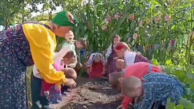 конкурсный ролик Кукуруза