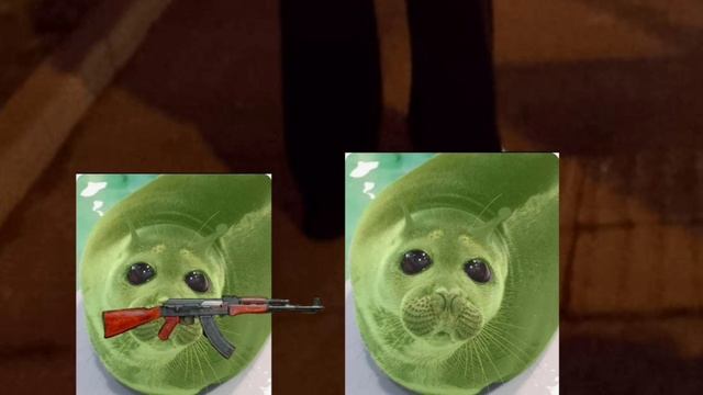 Война тюленьчиков 1 часть.